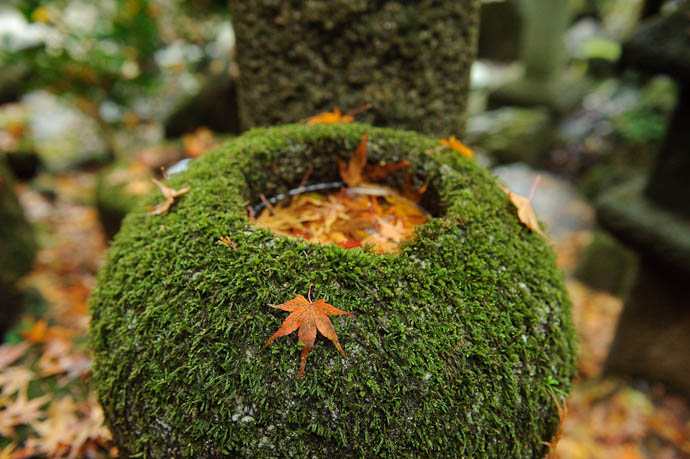 Water Basin Carved From Solid Moss Photo By Paul Barr -- Nishimura Stone Lanterns -- Kyoto, Japan -- Copyright 2009 Paul Barr