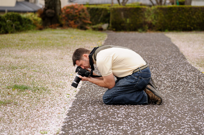 Dedication To The Shot ( this shot ) photo by Paul Barr  --  Kyoto, Japan  --  Copyright 2012 Paul Barr