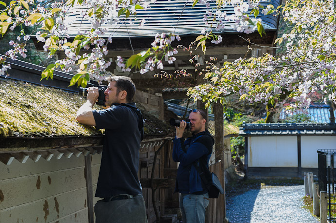 Moss Macro Photography with Nicolas Joannin at the Joushoukou-ji Temple (常照皇寺) in the mountains of northwest Kyoto, Japan photo by Paul Barr  --  Joushoukou-ji Temple (常照皇寺)  --  Copyright 2012 Paul Barr