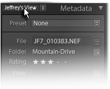 metadata presets viewer