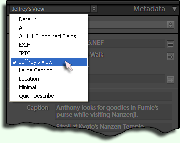 photo metadata viewer