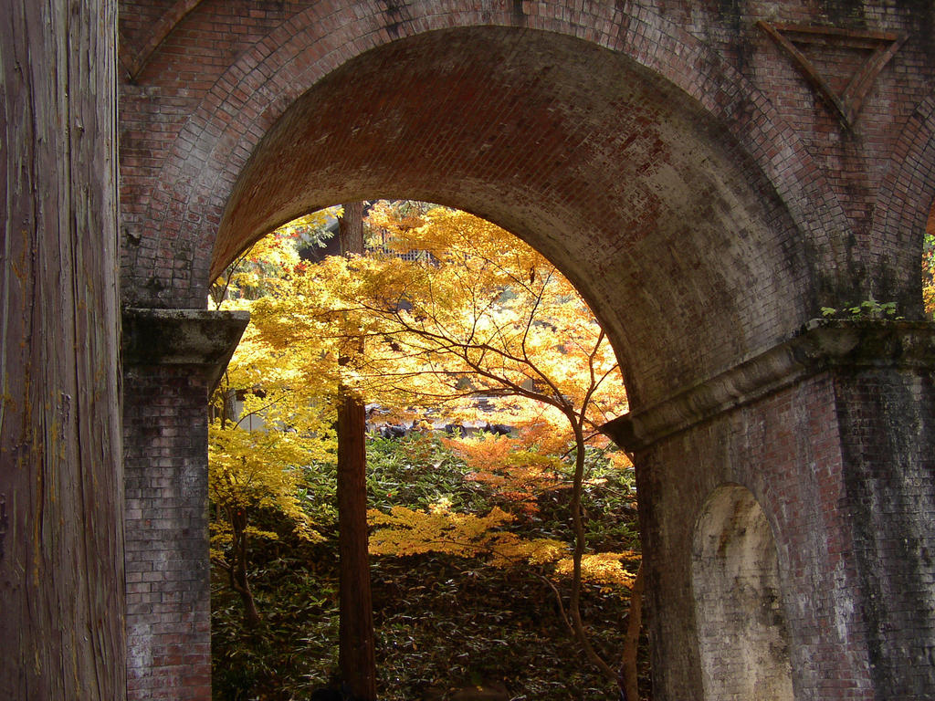 Fall foliage behind the aquaduct bridge at the Nanzenji Temple, Kyoto
Japan