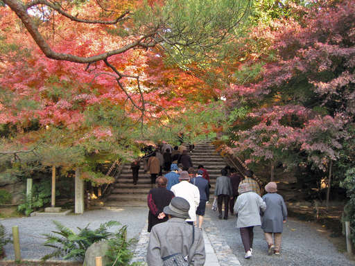 Steps leading up to the temple at Ryouanji, Kyoto Japan