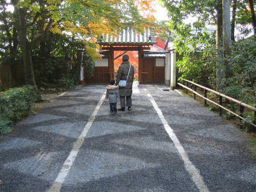 Fumie and Anthony looking through a gate at some spectacular colors, at Ryouanji, Kyoto Japan